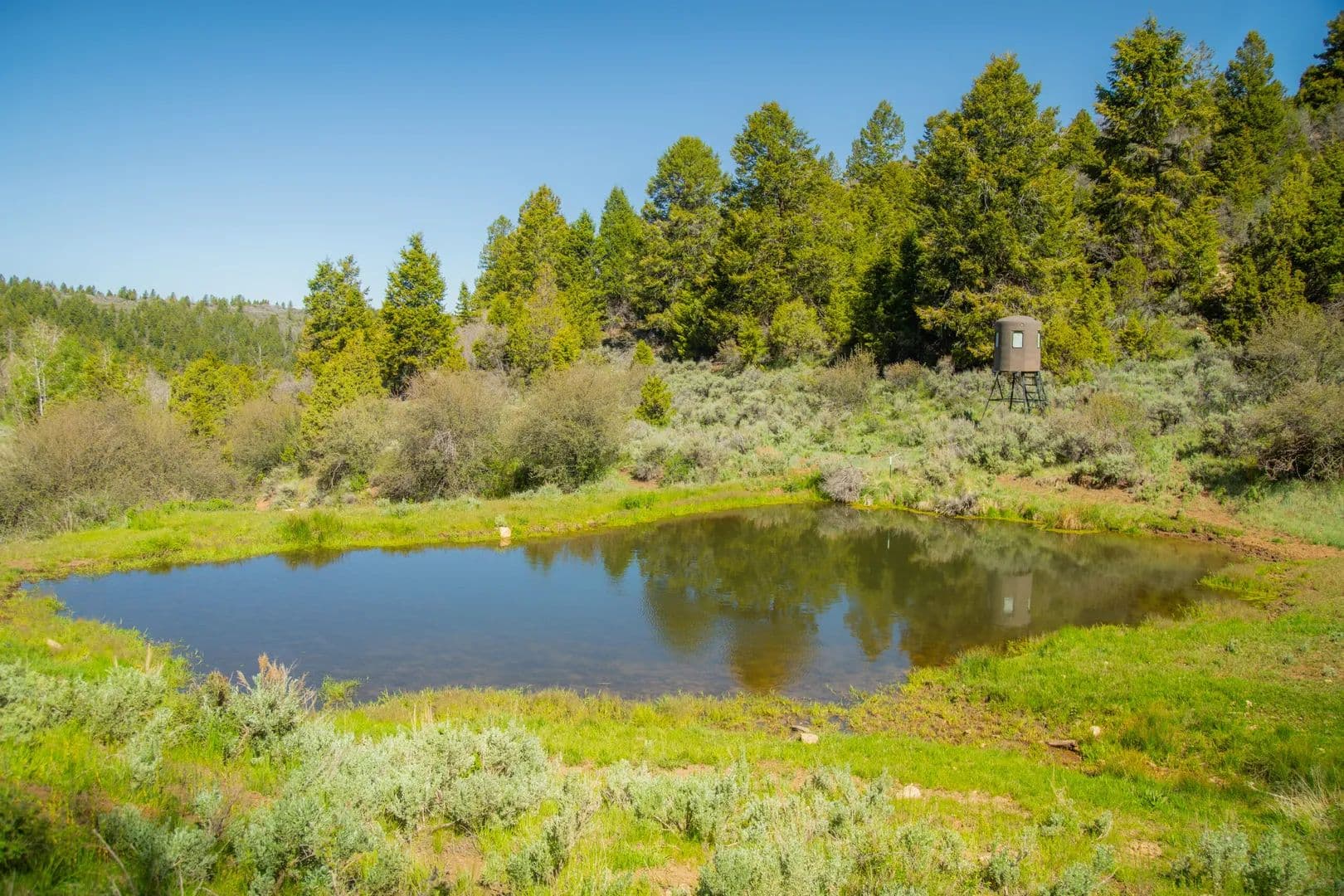 Tent Canyon Ranch - land for sale