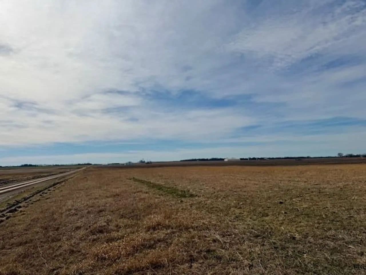 54+ Acres of productive farmground in Richards, Missouri - photo 6