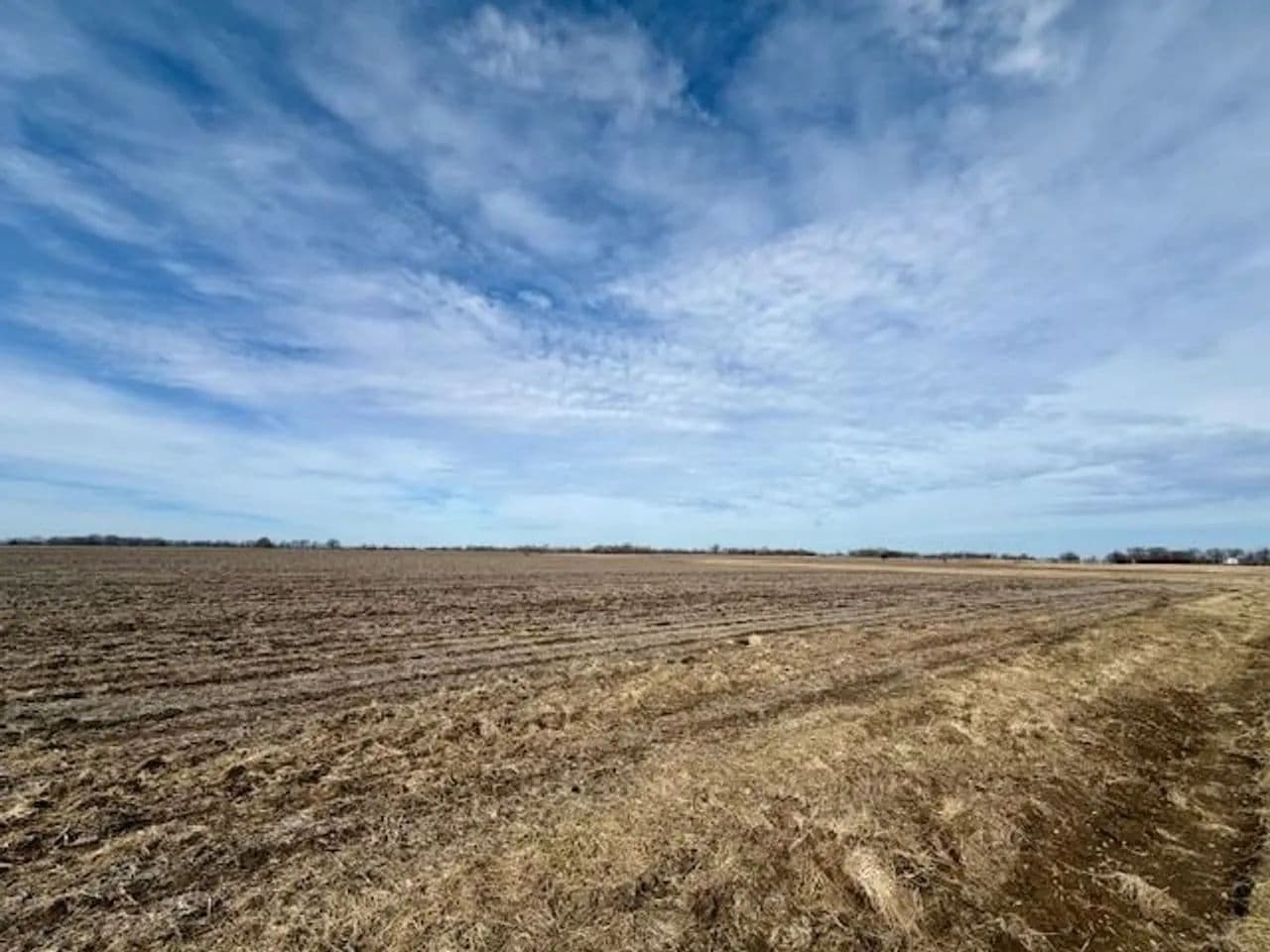 54+ Acres of productive farmground in Richards, Missouri - photo 9
