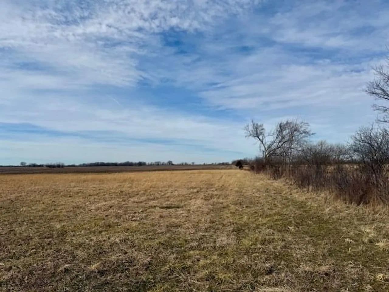 54+ Acres of productive farmground in Richards, Missouri - photo 8