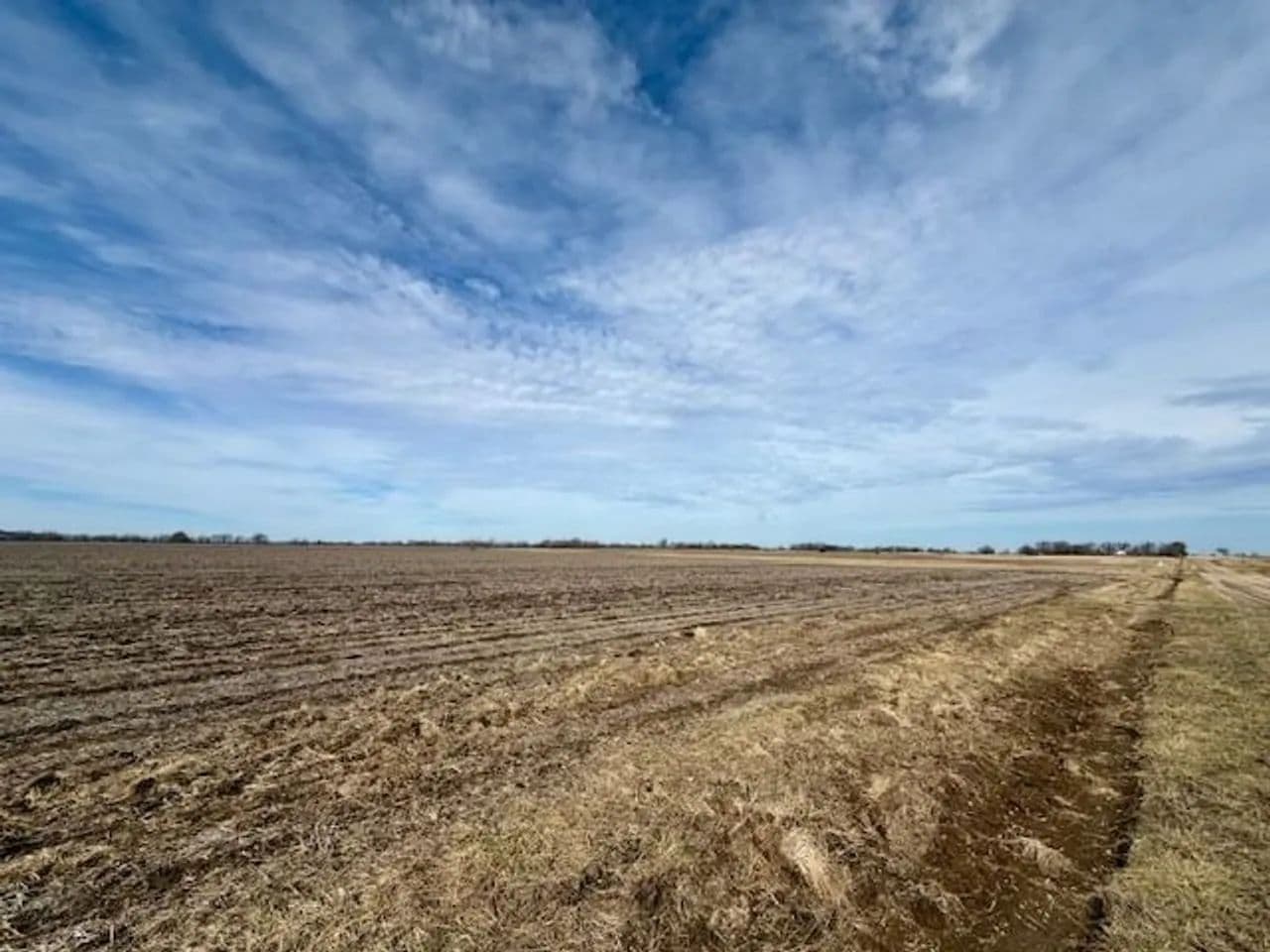 54+ Acres of productive farmground in Richards, Missouri - photo 7