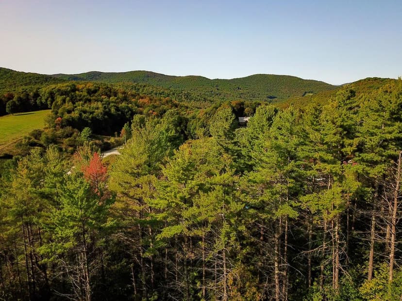 4440 Big Hollow Rd - Starksboro