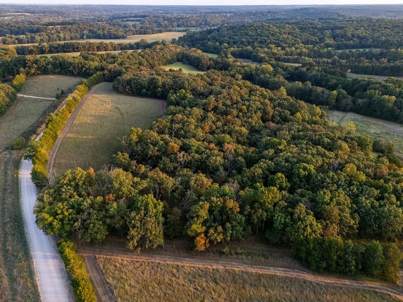Gasconade & Franklin County Missouri Land for Sale at Auction – Phillips Farm