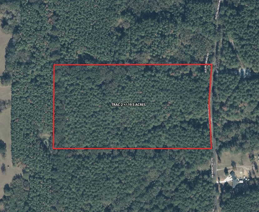 19.5 Acres in Scott County, MS