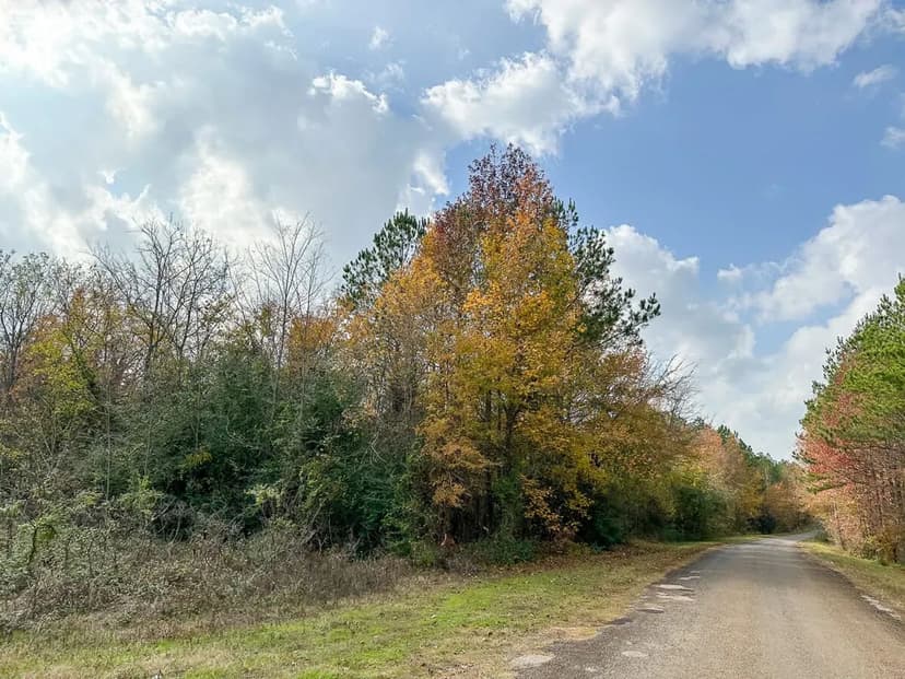 146 Acres | CR 2115 | Maya 1011