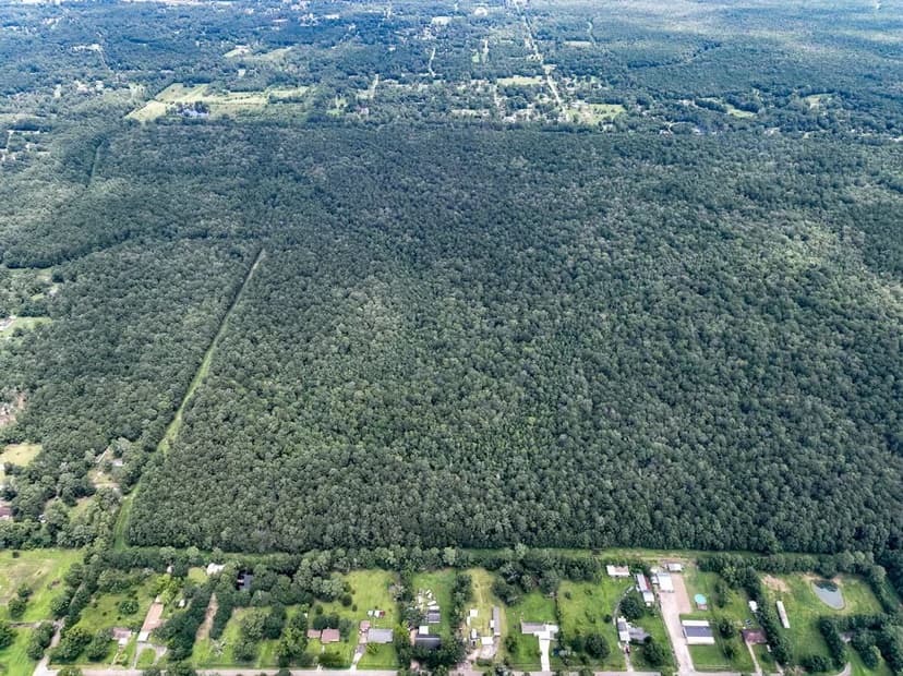 310 Acres | Ellis Lane | 01167