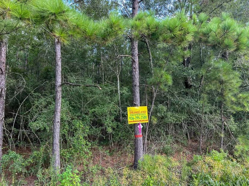 39 Acres | T-2 | FM 2802 | 287077