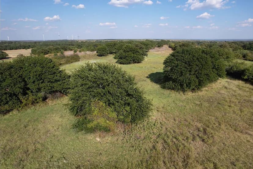 Under Contract - 14+/- Acres, TBD CR 119, Baird (Tract 1)