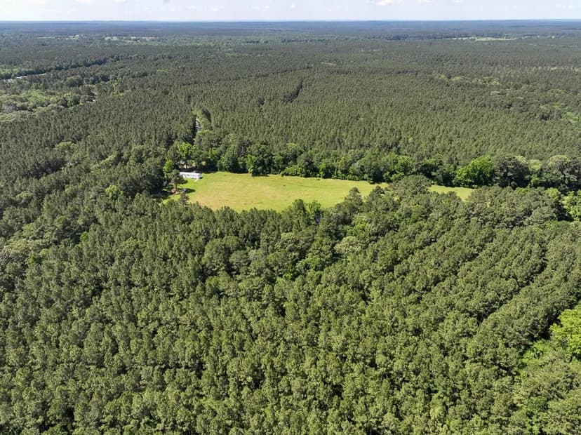 14 Acres | T-37 | Groveton Flat Prairie Road