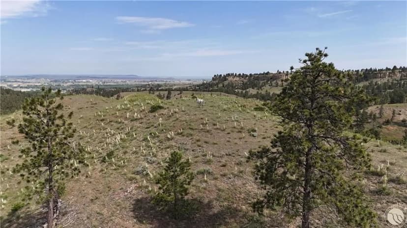 4560 N Pine Hills Road