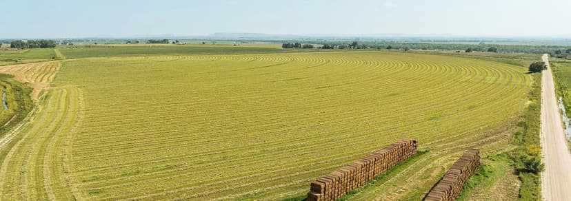 Silver Plains Irrigated Farm