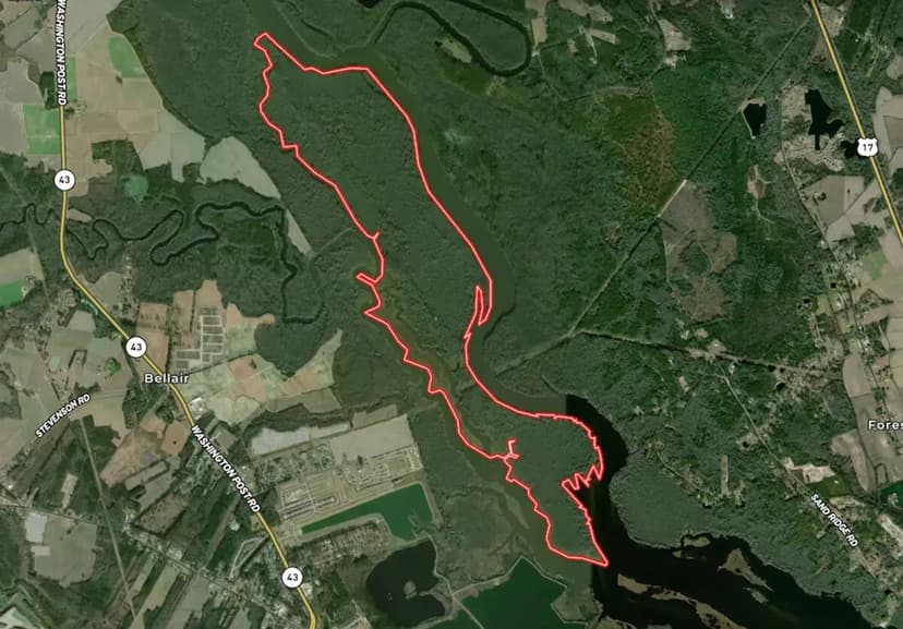 950 Acre Island with Cabin, Dock, and more For Sale in Craven County, NC!