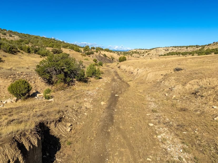 Lot 19 Canyon Point Drive, Rye, CO 81069