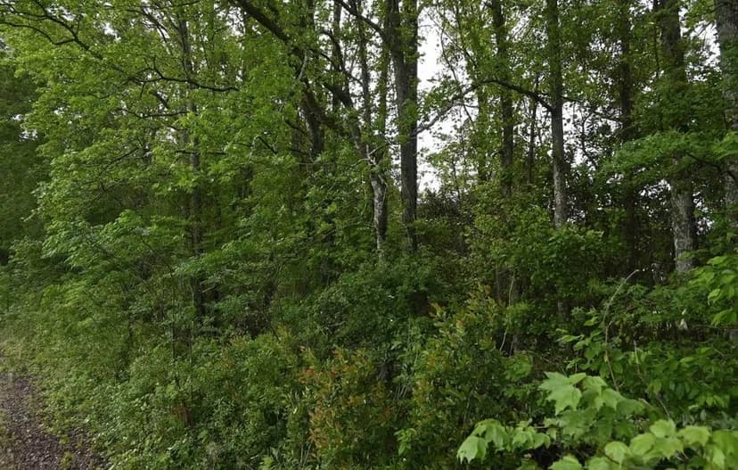 Land for Sale in Hartsville, South Carolina - 21 Acres of Darlington County Farmland