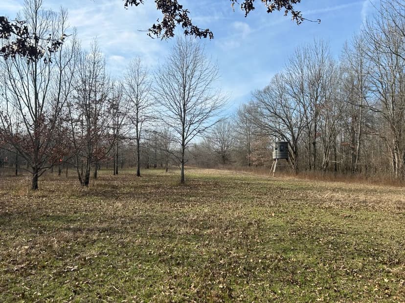 227 Acres in Quitman County, MS