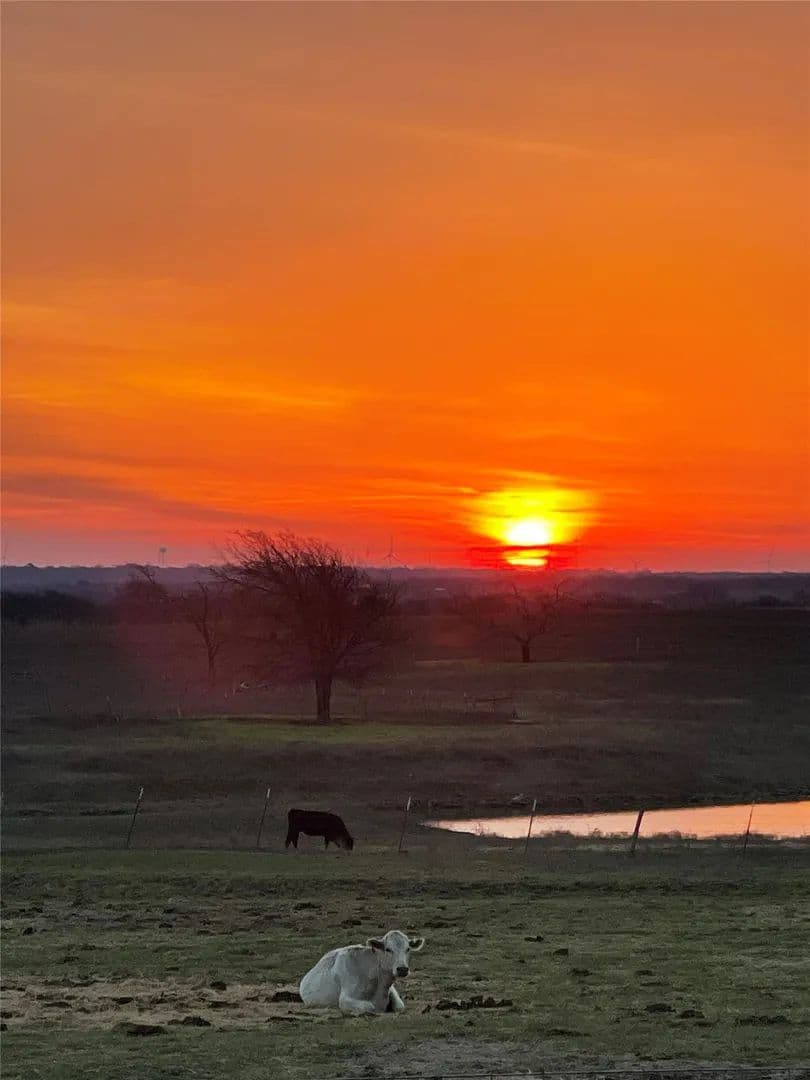 72.09 Acres of Land for Sale in Hubbard, Texas - Hubbard, Texas, 76648