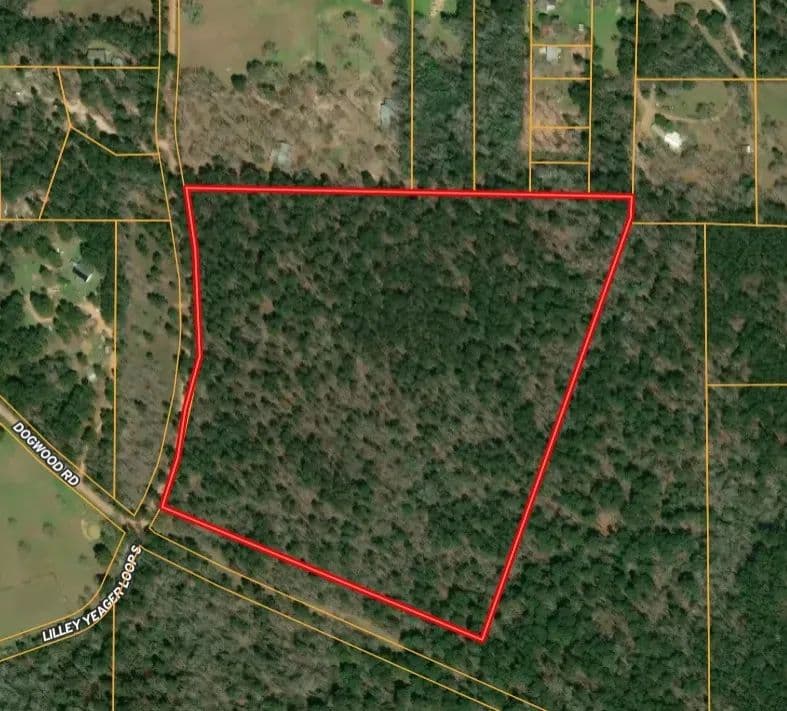 31.53 Acres of Land for Sale in Cleveland, Texas - Cleveland, Texas, 77328