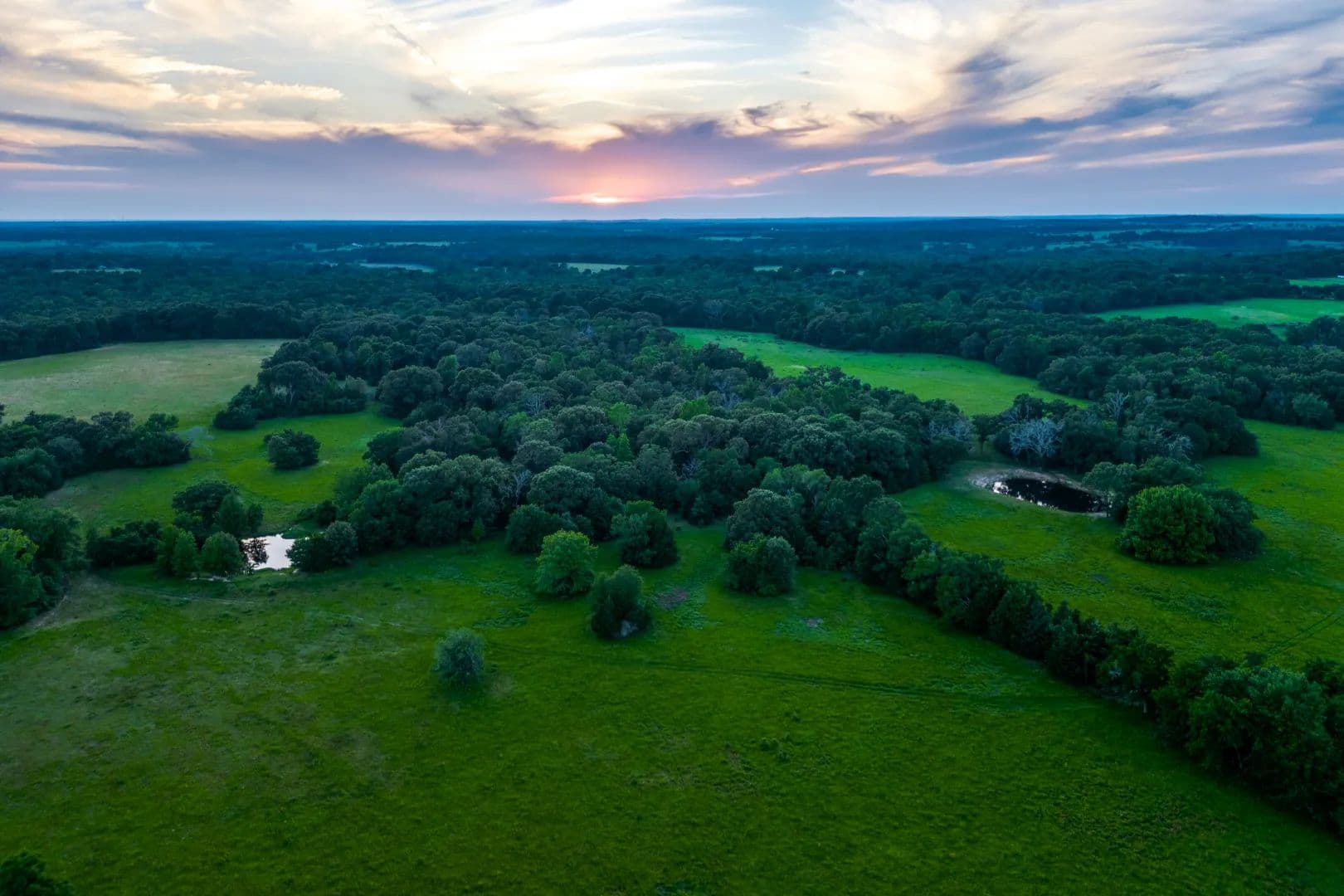 Holly Springs Ranch - Montalba, Texas, 75853