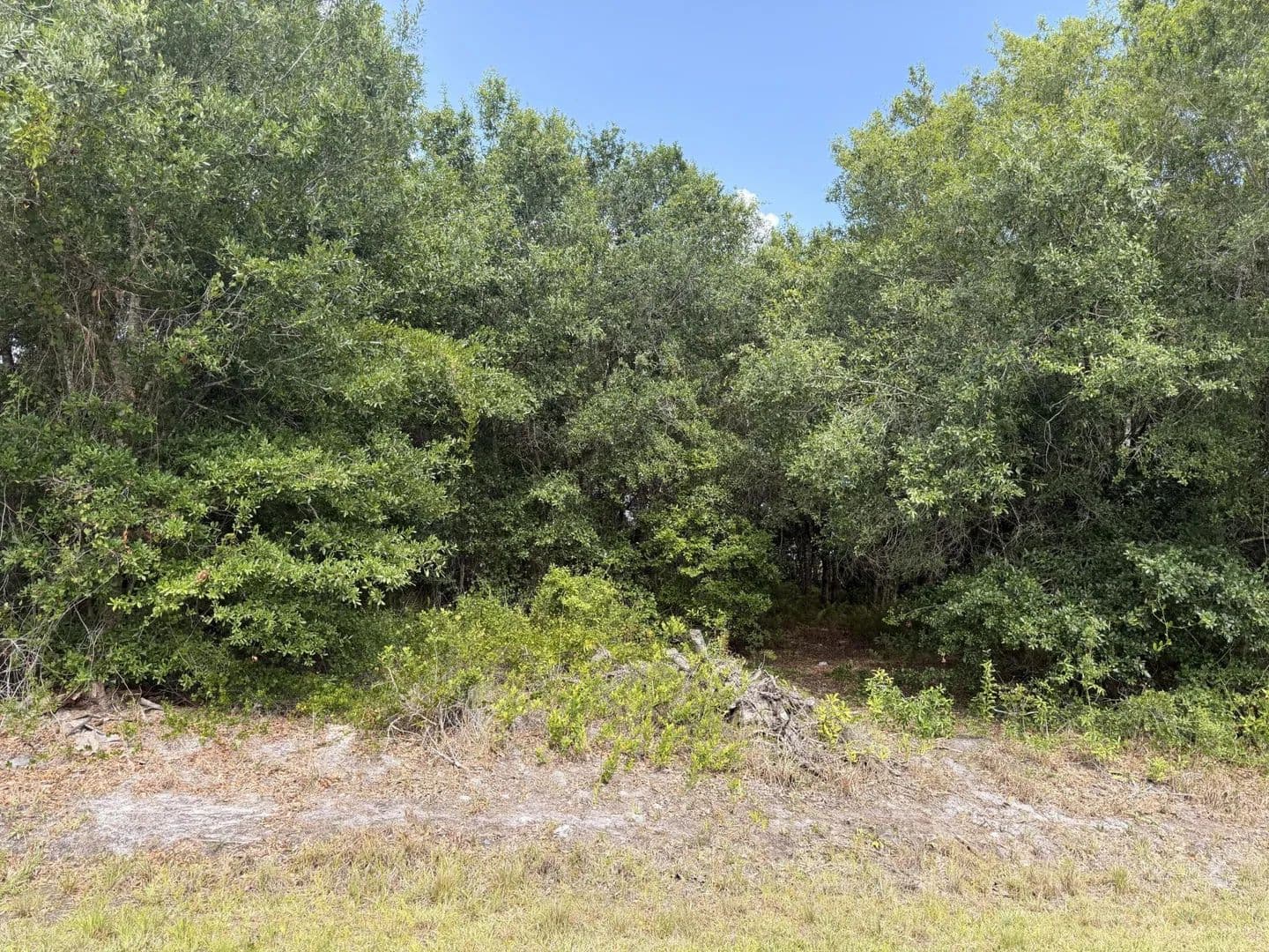 Property from 2646 NW 53rd Terrace - KW - Okeechobee, Florida, 34972