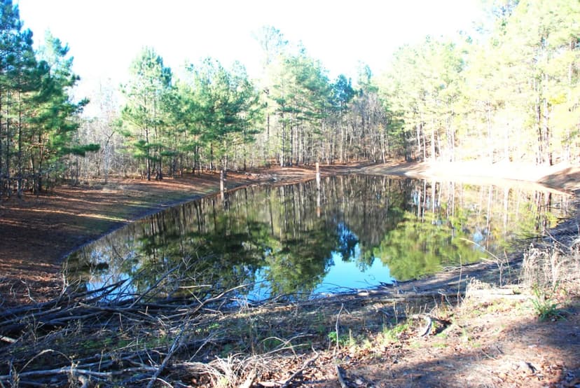 East Texas Land for Sale near Hawkins TX in Wood County with Timber & Hunting
