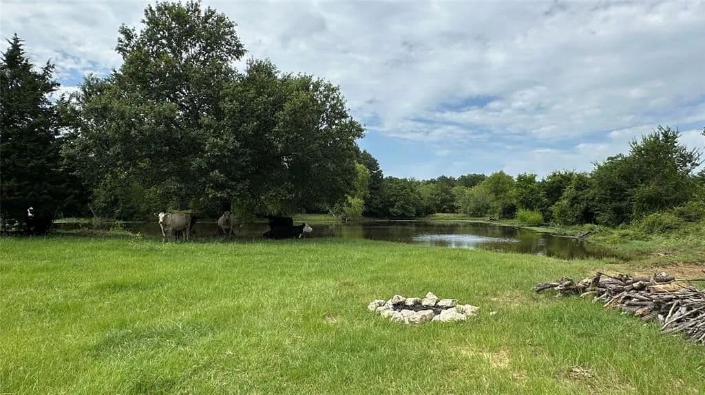 Vacant Land in Thornton - Thornton, Texas, 76687