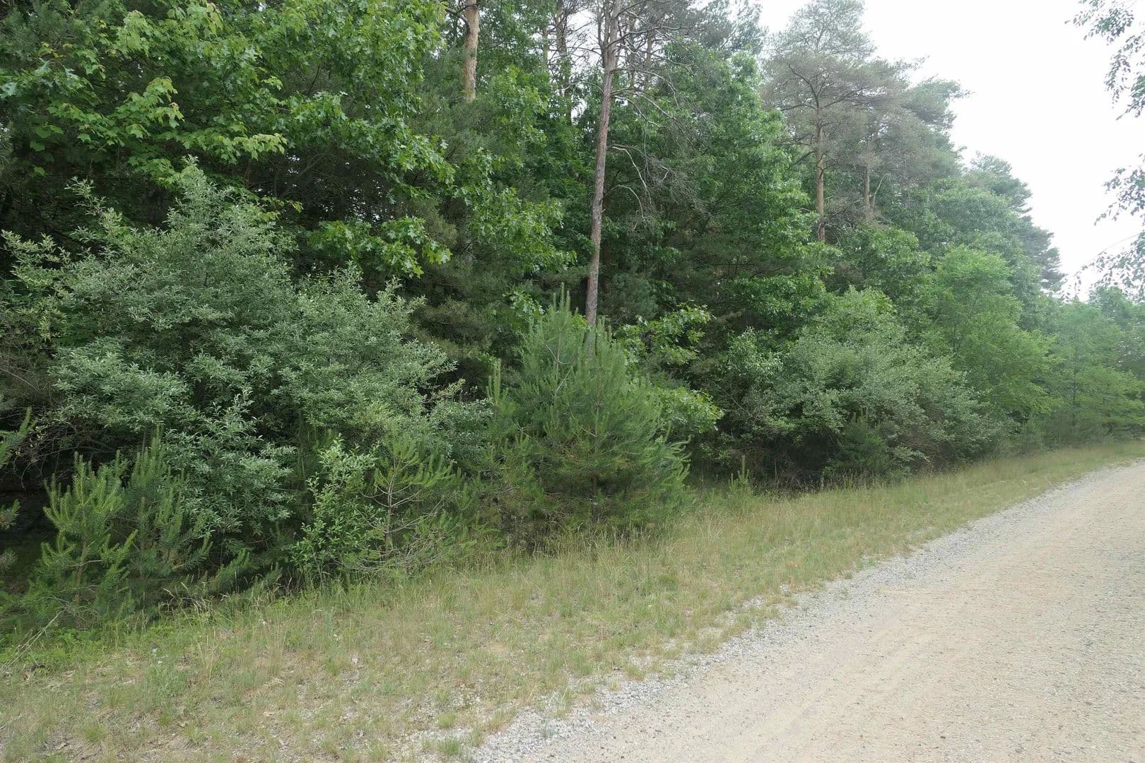 Property from Merrill Drive - KW - , Michigan, 48891