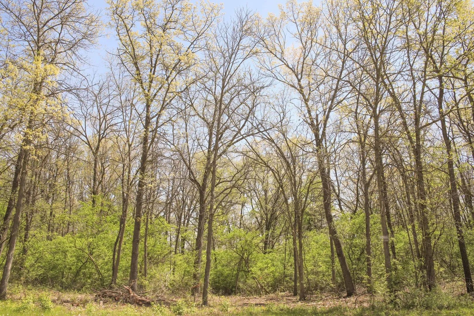 2.46 Acres of Land for Sale in Marengo, Illinois - Marengo, Illinois, 60152