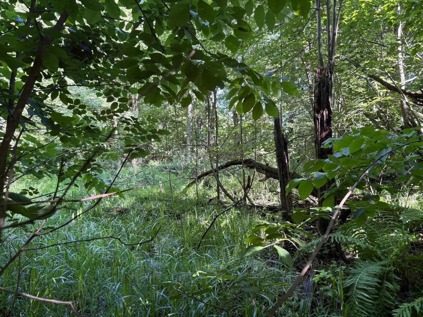 Lots & Land-Other in Allegan - Allegan, Michigan, 49010
