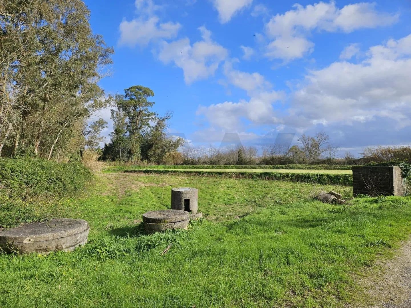 2182 Acres of Land for Sale in São João do Campo, Coimbra - land for sale