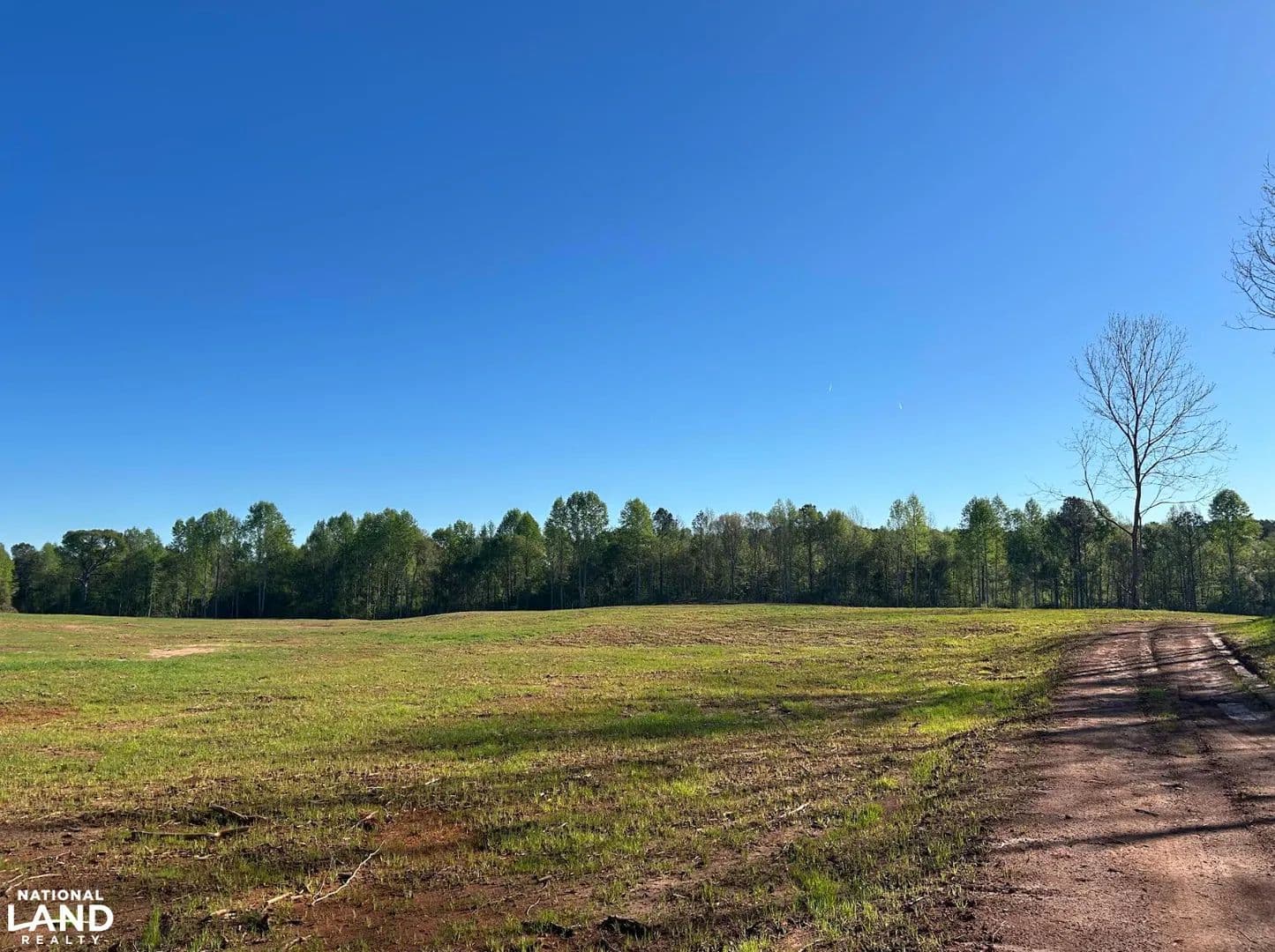 Camp Hill Homestead/Mini Farm - Camp Hill, Alabama, 36850