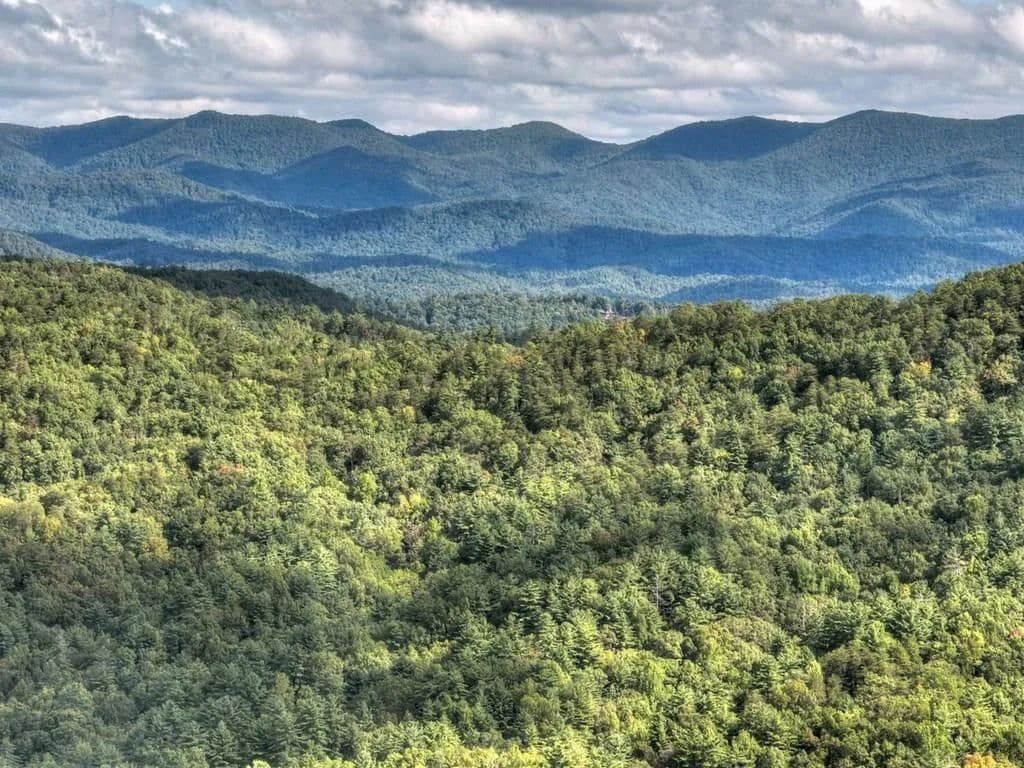 2.84 Acres of Land for Sale in Ellijay, Georgia - Ellijay, Georgia, 30540