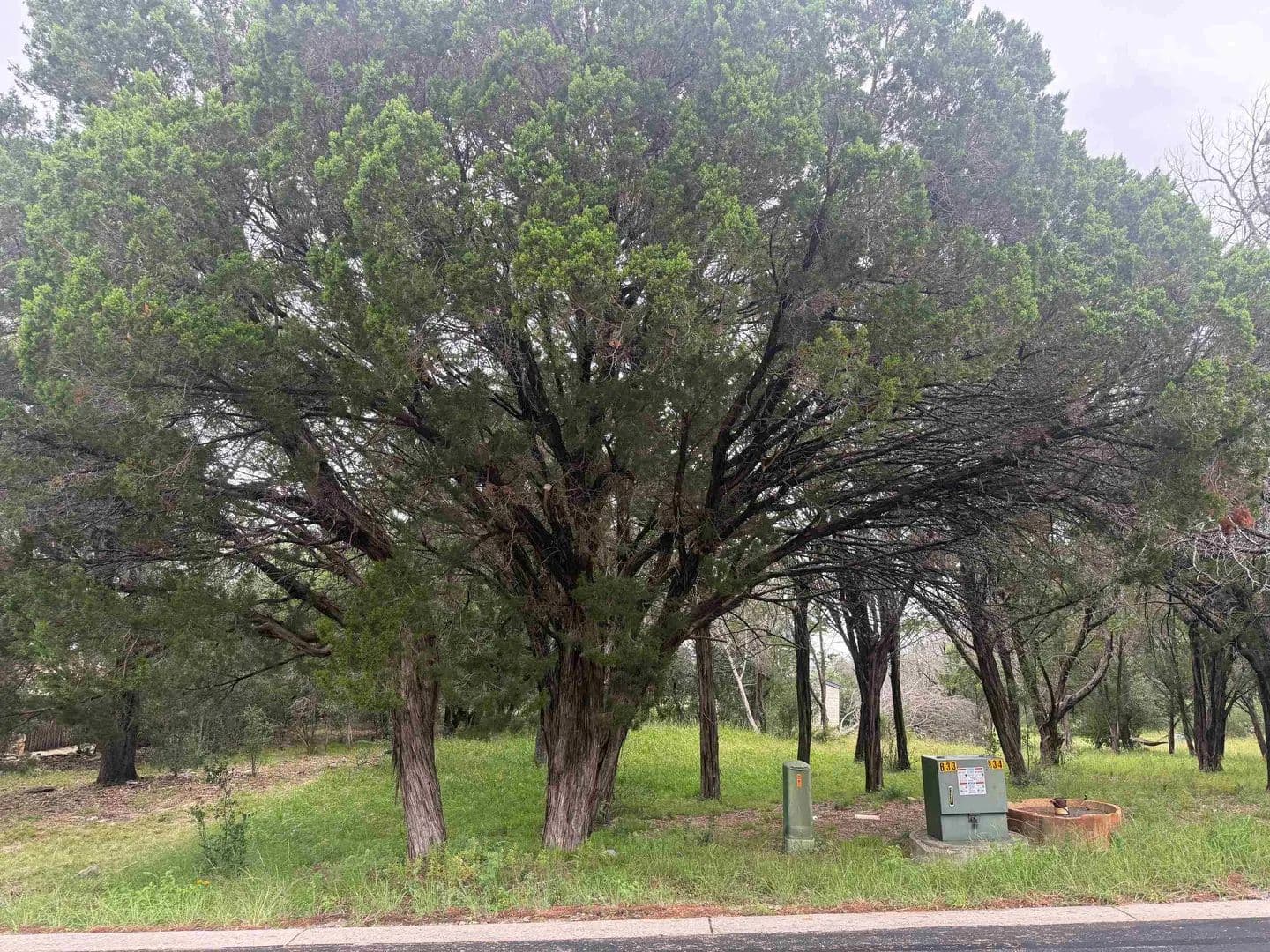 0.13 Acres of Land for Sale in Horseshoe Bay, Texas - Horseshoe Bay, Texas, 78657
