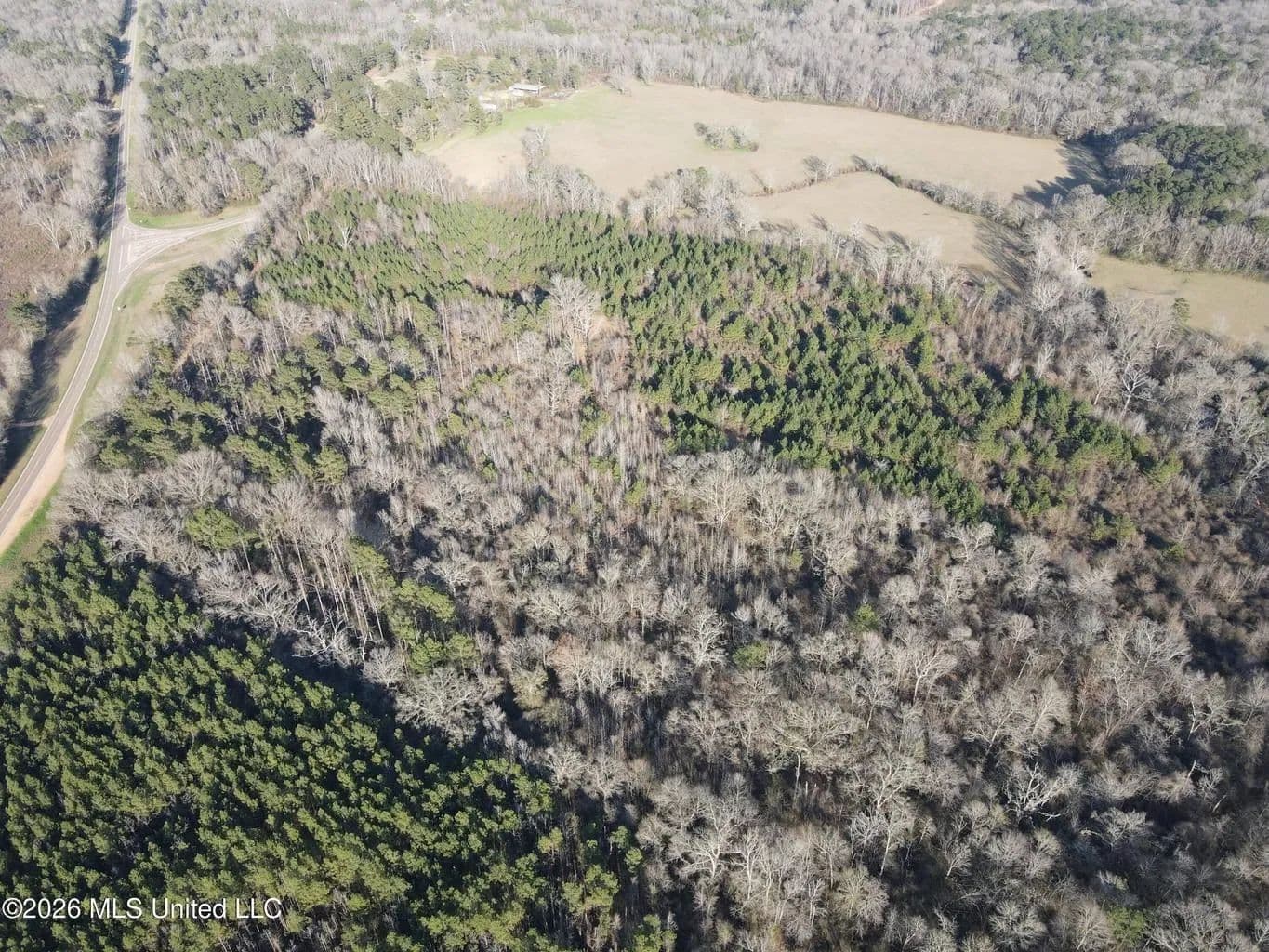 Hazlehurst MS Hunting Land for Sale - Hazlehurst, Mississippi, 39083