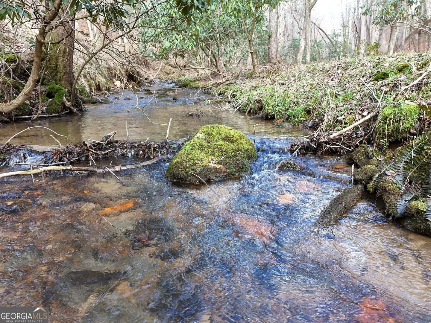 1.72 Acres of Land for Sale in Mineral Bluff, Georgia - Mineral Bluff, Georgia, 30559
