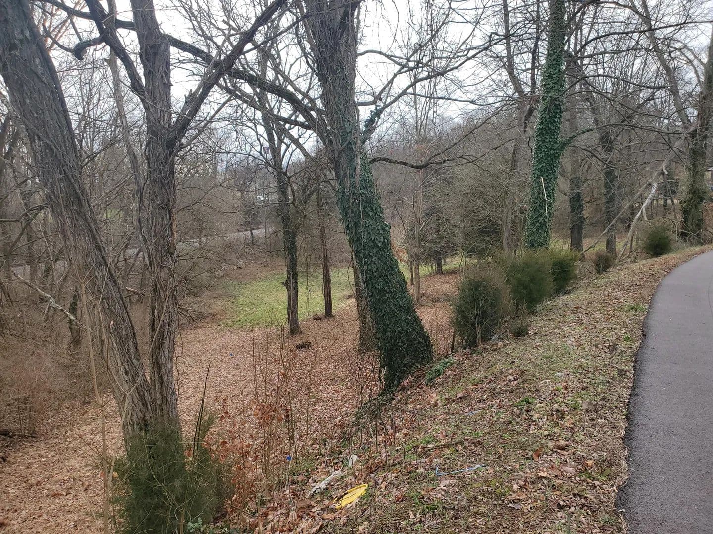 Property from Tbd Tall Oak Court - KW - Kingsport, Tennessee, 37663