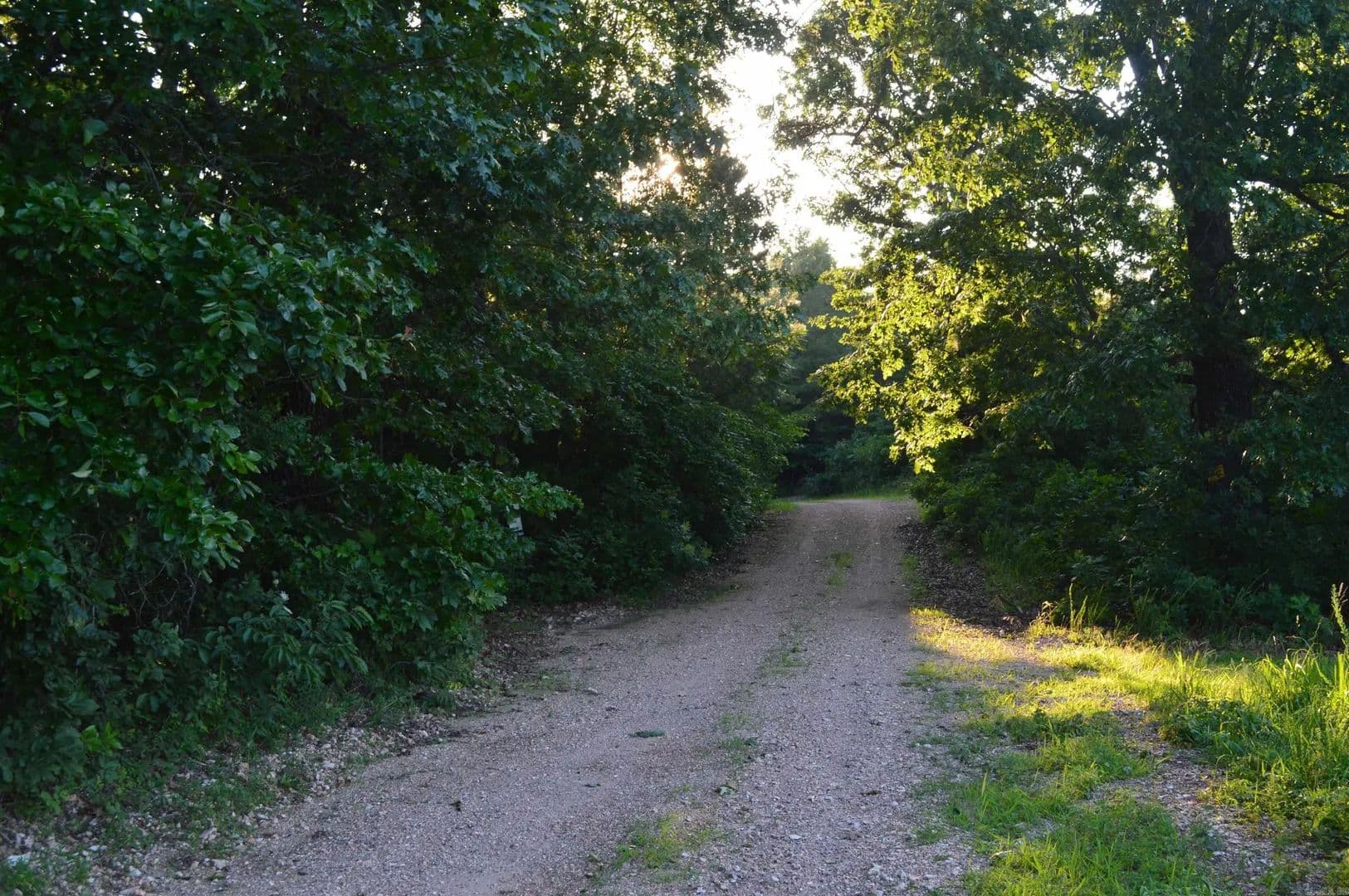 100 Acres of Land for Sale in Harriet, AR - Harriet, Arkansas, 72639