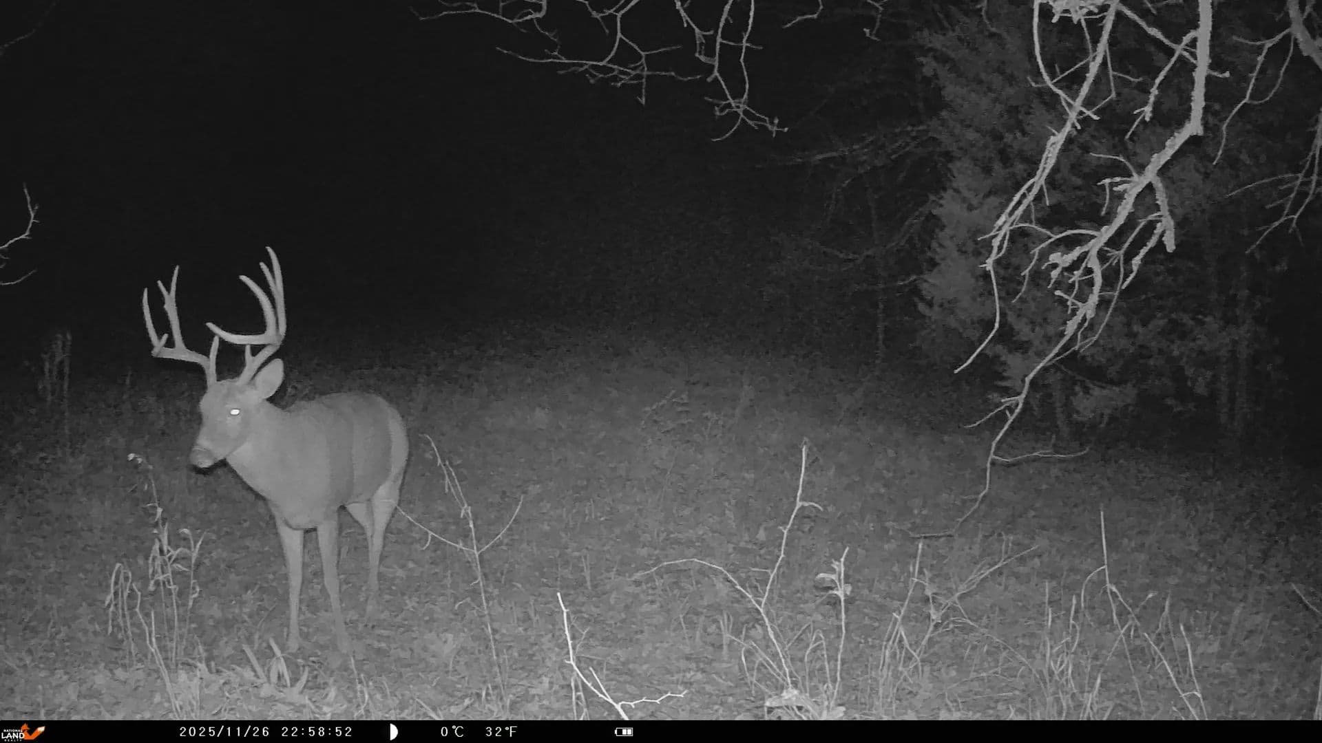 Caney Creek - Stuart, Oklahoma, 74570