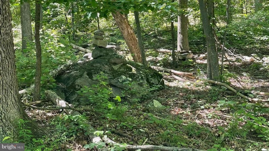 Property from 28 B FALCONWOOD - KW - Bloomery, West Virginia, 26817