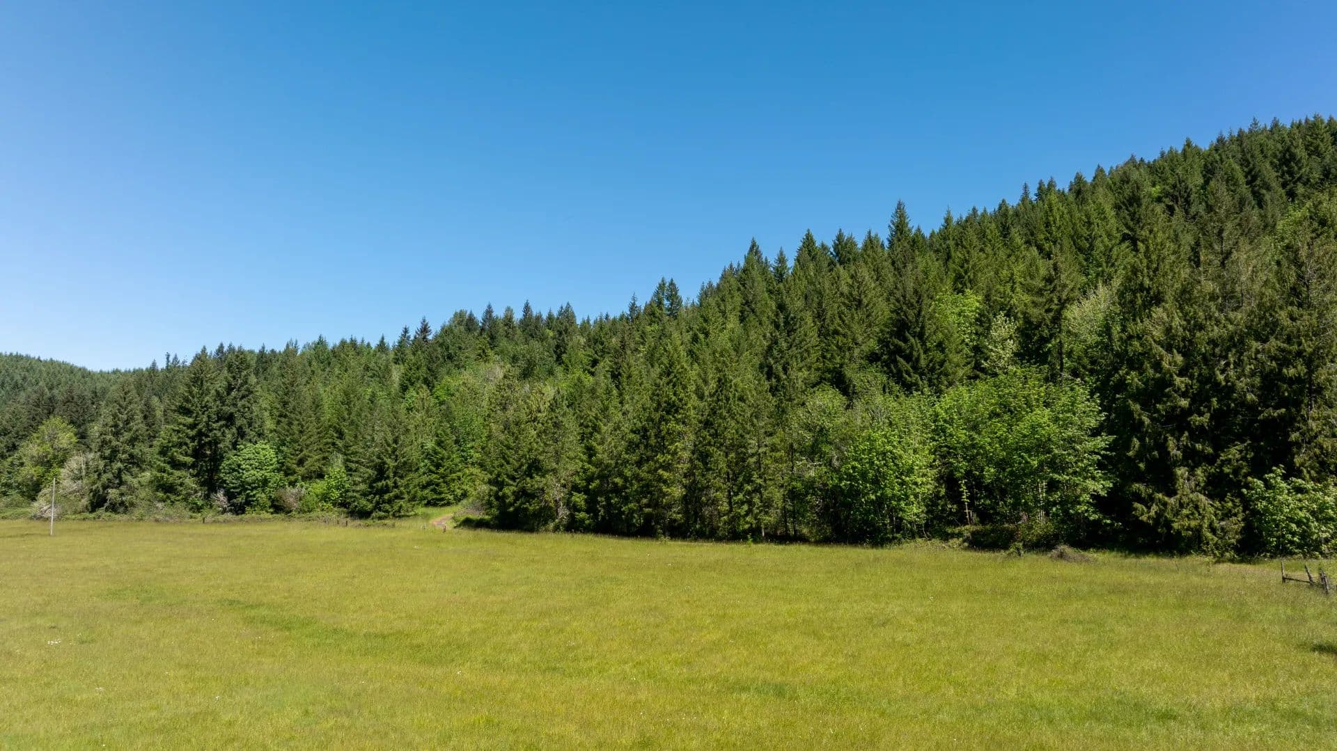 Winberry Ridge Ranch - Fall Creek, Oregon, 97438
