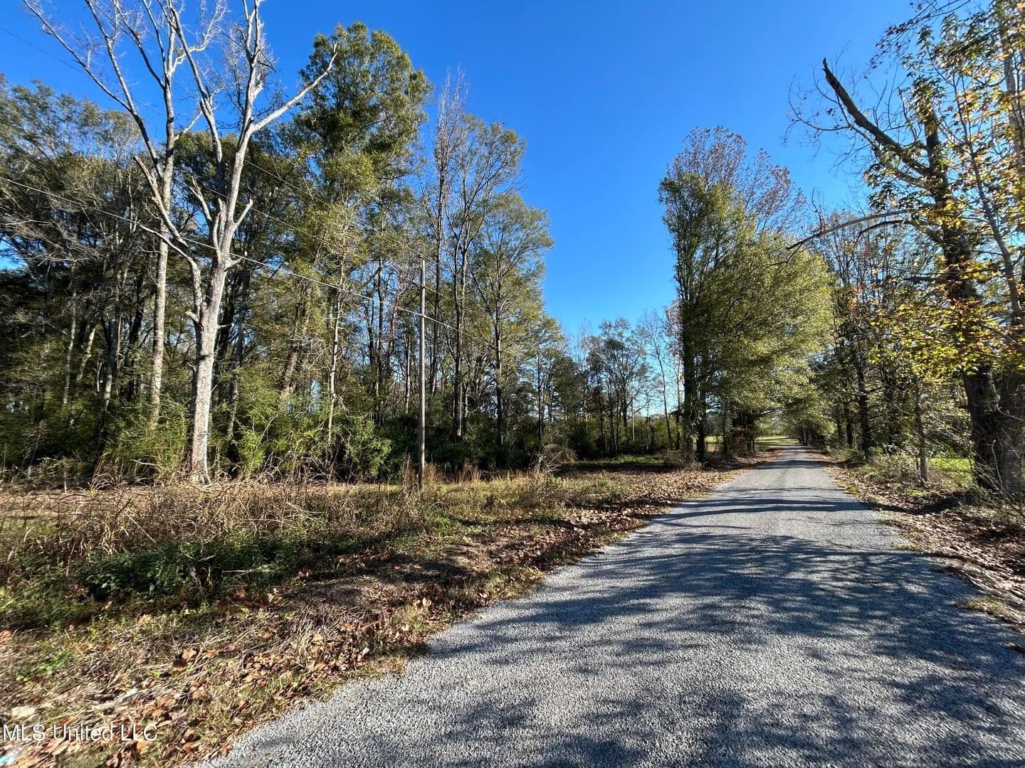 10.87 acres near Mendenhall, Mississippi in Mendenhall, Mississippi - photo 5