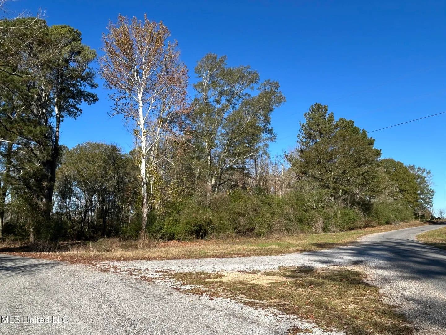 10.87 acres near Mendenhall, Mississippi in Mendenhall, Mississippi - photo 6