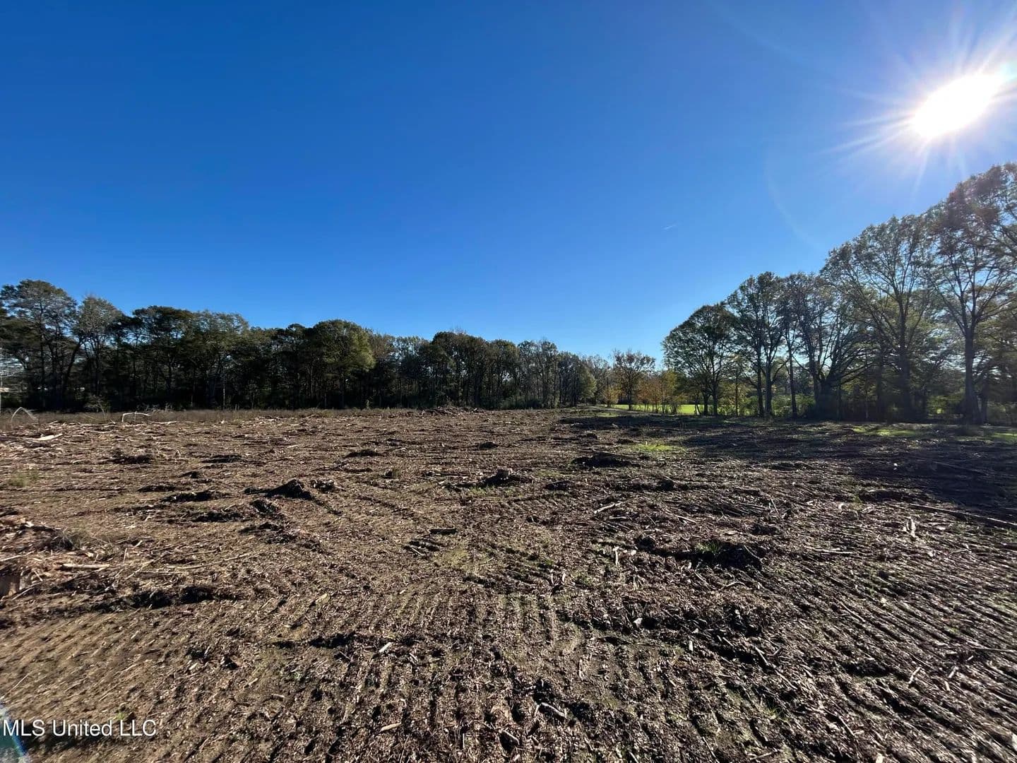 10.87 acres near Mendenhall, Mississippi in Mendenhall, Mississippi - photo 2