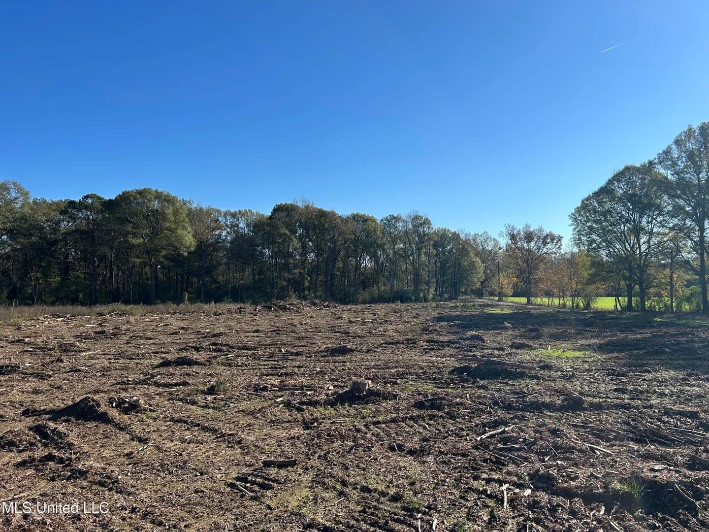 10.87 acres near Mendenhall, Mississippi in Mendenhall, Mississippi - photo 3