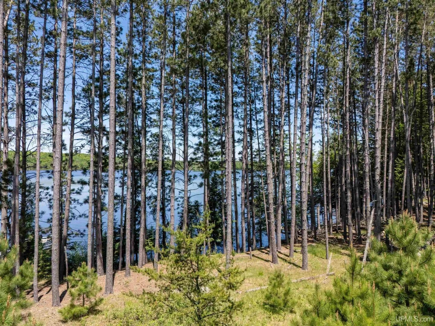 Property from TBD Eagles Nest - KW - Iron River, Michigan, 49935