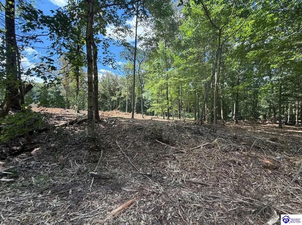 1.81 Acres of Land for Sale in Rineyville, KY - Rineyville, Kentucky, 40162