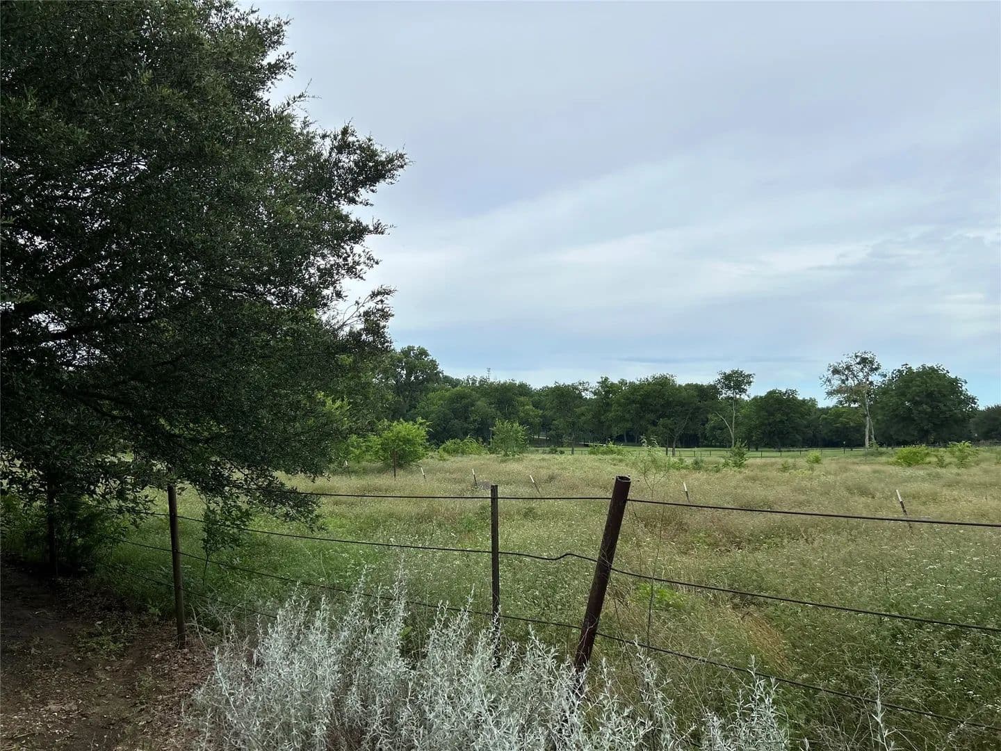 5.59 Acres of Land for Sale in Alvarado, Texas - Alvarado, Texas, 76009
