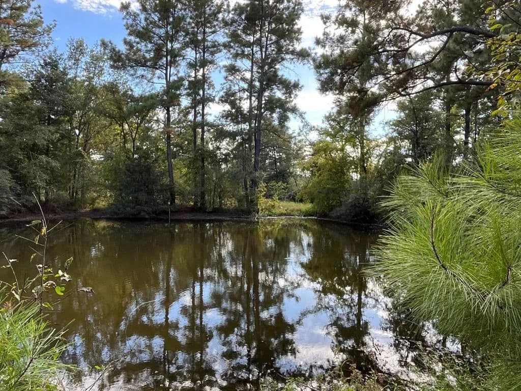 Property from 7749 Cr 4200 - KW - Pennington, Texas, 75847