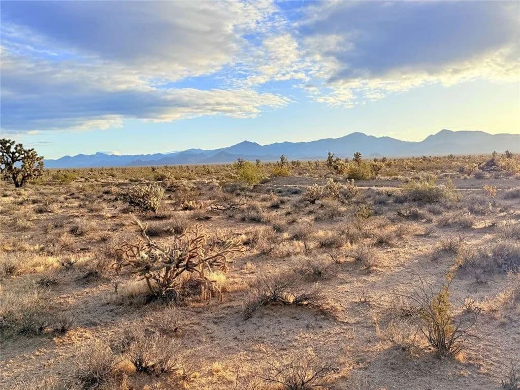 Property from 20030 S Billy the Kid Road - KW - Yucca, Arizona, 86438