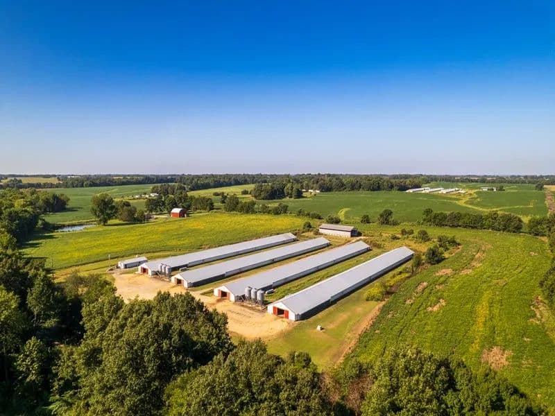 Feezor Broiler Farm – Four House Farm in Hickman Co., Kentucky - Clinton, Kentucky, 42031