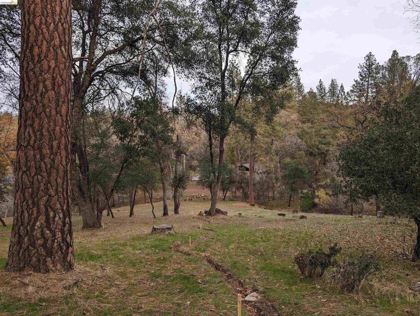 Property from 19059 Crocker Station - KW - Groveland, California, 95321